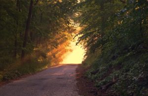 Coaching Nature Coaching nature