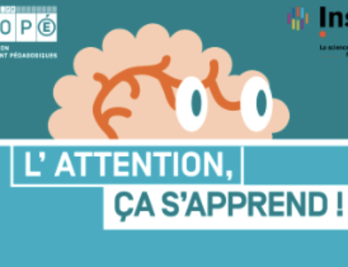 Apprendre l’attention en 5 étapes (TDA enfants, adultes)