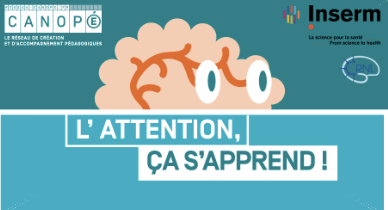 L'attention ça s'apprend